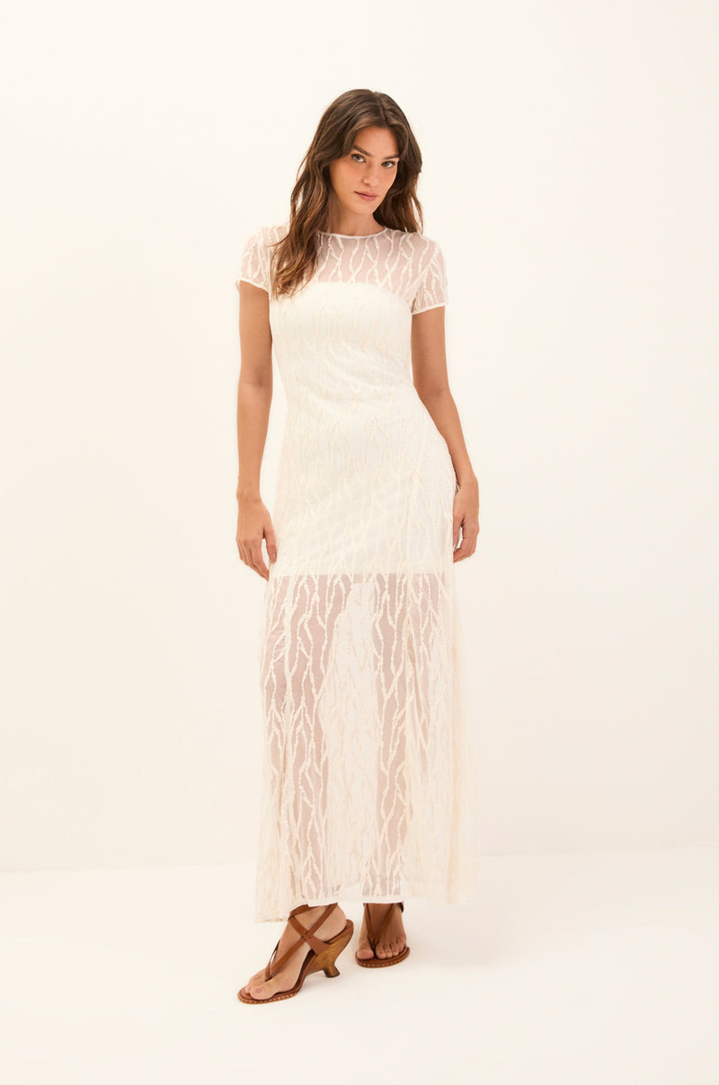 gid://shopify/Product/9592886558941