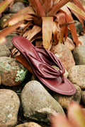 gid://shopify/Product/9592418238685