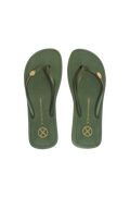 gid://shopify/Product/9595924742365