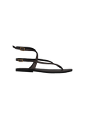 gid://shopify/Product/9595993293021