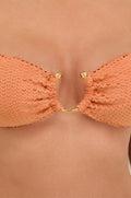 gid://shopify/Product/9604708139229
