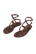 gid://shopify/Product/9596178104541