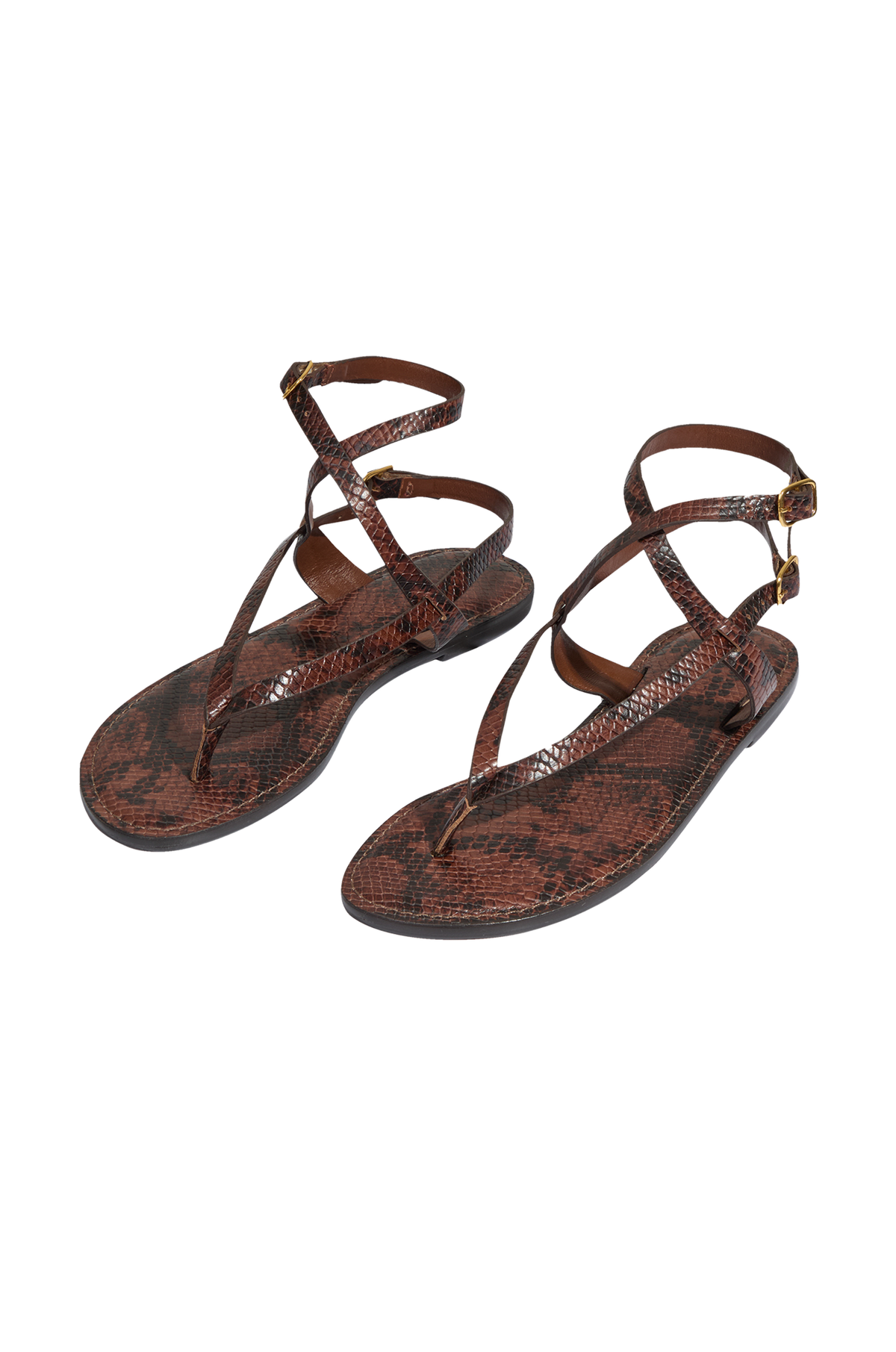 gid://shopify/Product/9596178104541