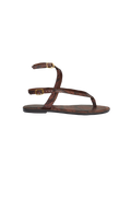 gid://shopify/Product/9596178104541