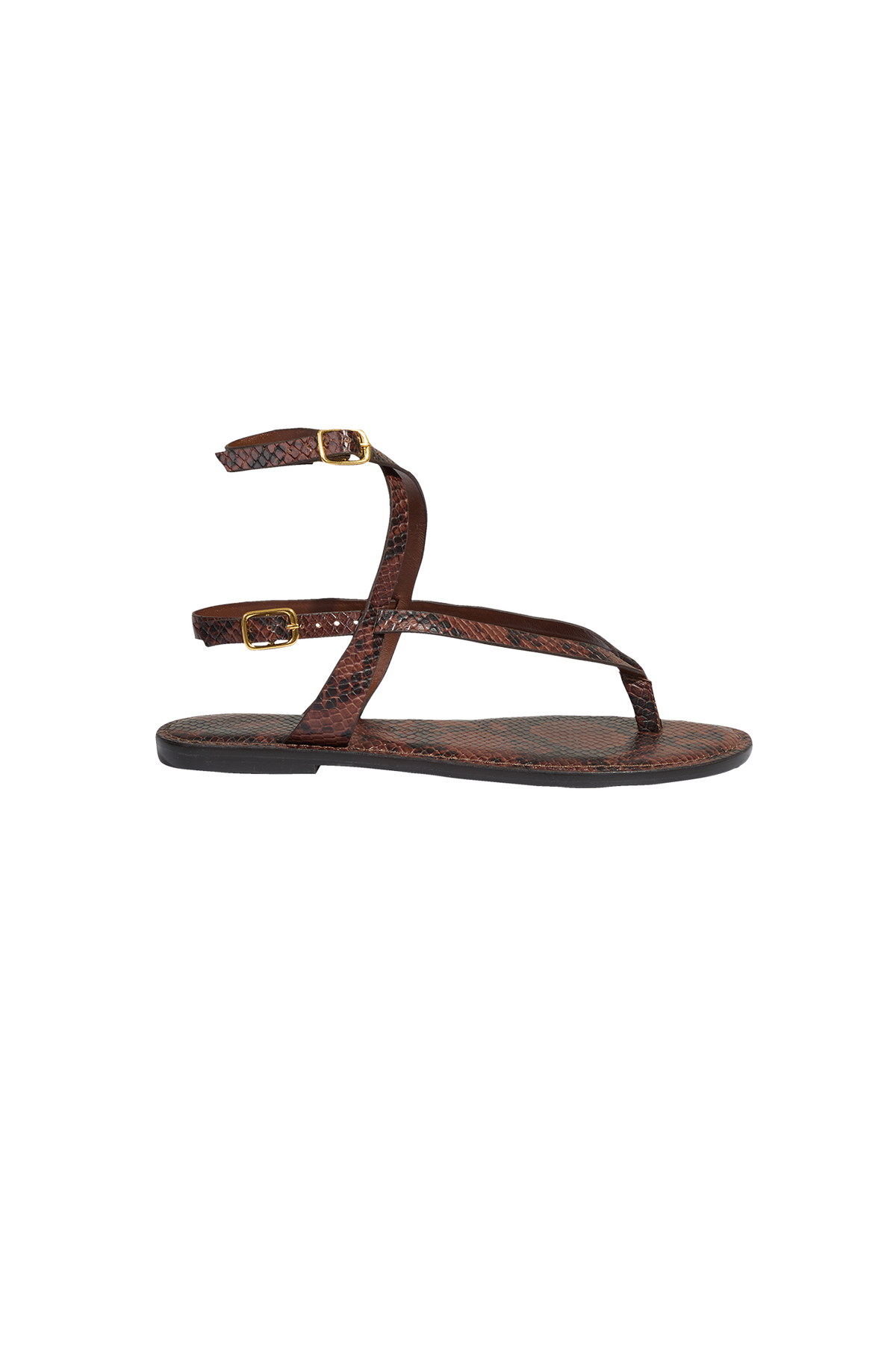 gid://shopify/Product/9596178104541