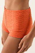 gid://shopify/Product/9592824299741