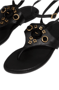 gid://shopify/Product/9592420401373