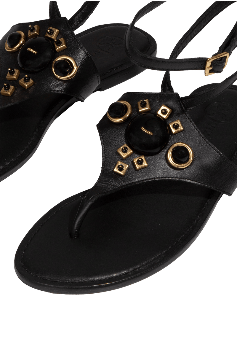 gid://shopify/Product/9592420401373