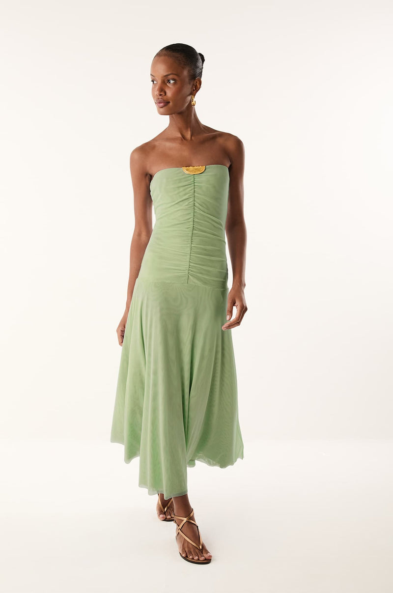 gid://shopify/Product/9676163645661